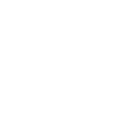 Einhorn Krieger